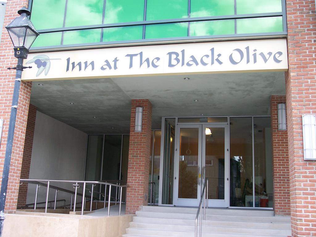 Inn At The Black Olive Baltimore Exteriér fotografie